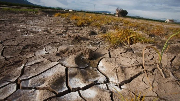 UN Reports 22% of Latin American Soil Degraded. (Photo Internet reproduction)