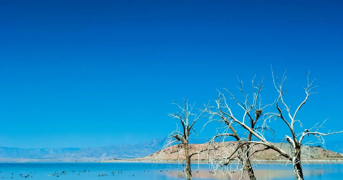 Brazil to Host Major Lithium Summit in 2024. (Photo Internet reproduction)