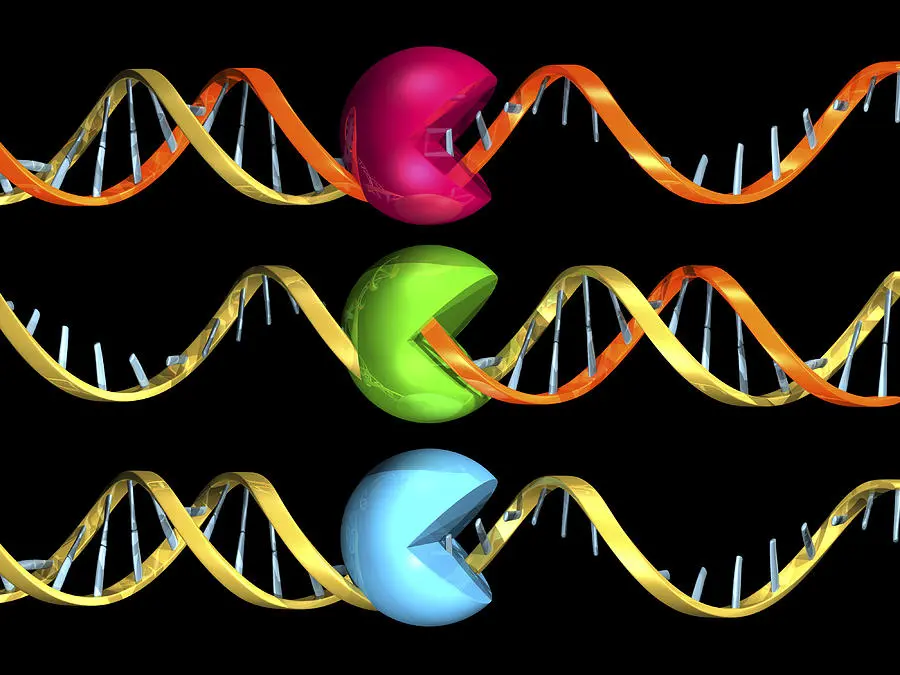The Next Wave of RNA Vaccines: Assessing Potential and Caution. (Photo Internet reproduction)