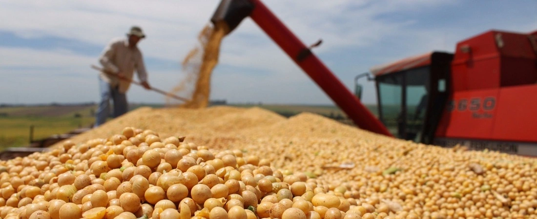 Paraguay's Steady Economic Rise in 2023 - Soy is the main growth factor. (Photo Internet reproduction)