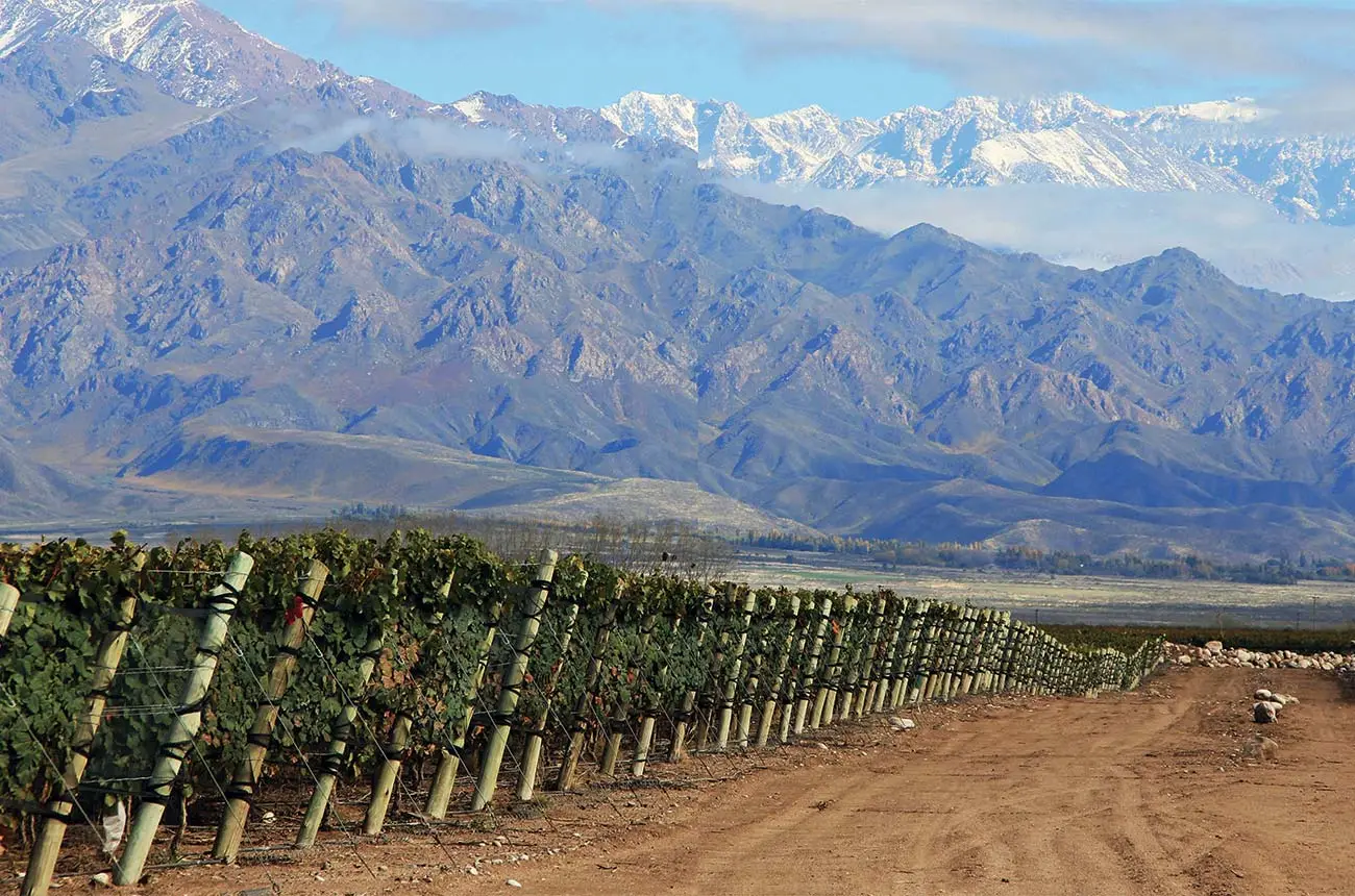 Argentina-Malbec