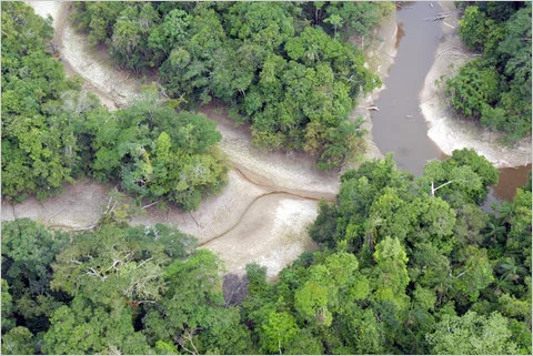Unprecedented Dry Spell Strikes the Amazon. (Photo Internet reproduction)