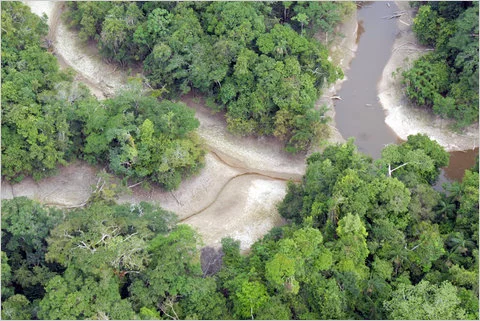 amazon drought