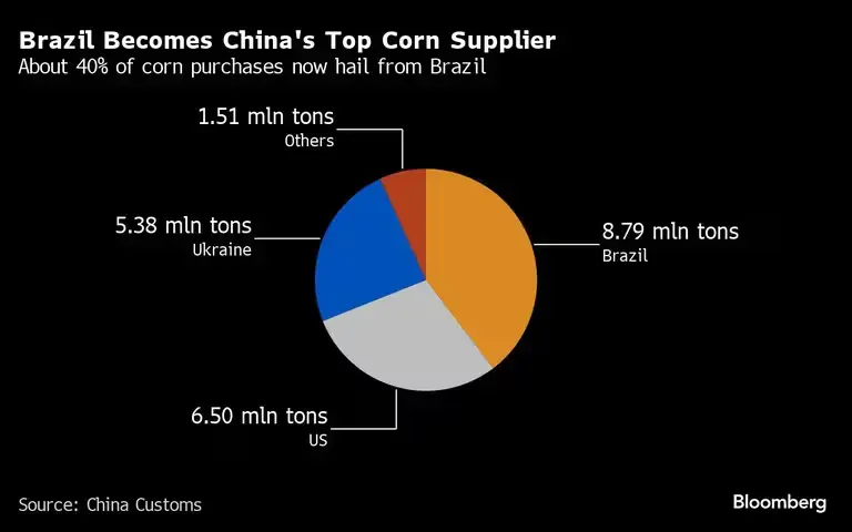 Brazil Overtakes U.S. as China's Top Corn Supplier. (Photo Internet reproduction)