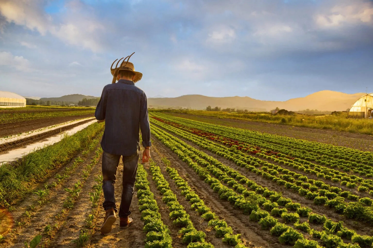 farmer-brazil