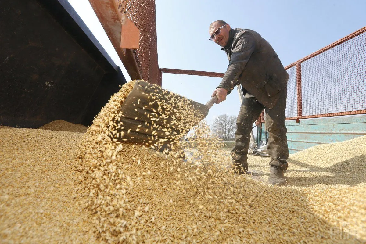 Grain Supply Challenges in 2024. (Photo Internet reproduction)