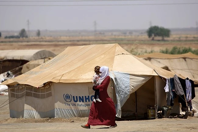 humanitarian