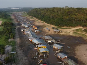 Amazon's Drought Risk Skyrockets Due to Climate Change. (Photo Internet reproduction)