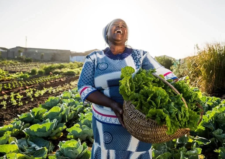 Harvesting Diversity: Africa's Path to Agricultural Resilience.