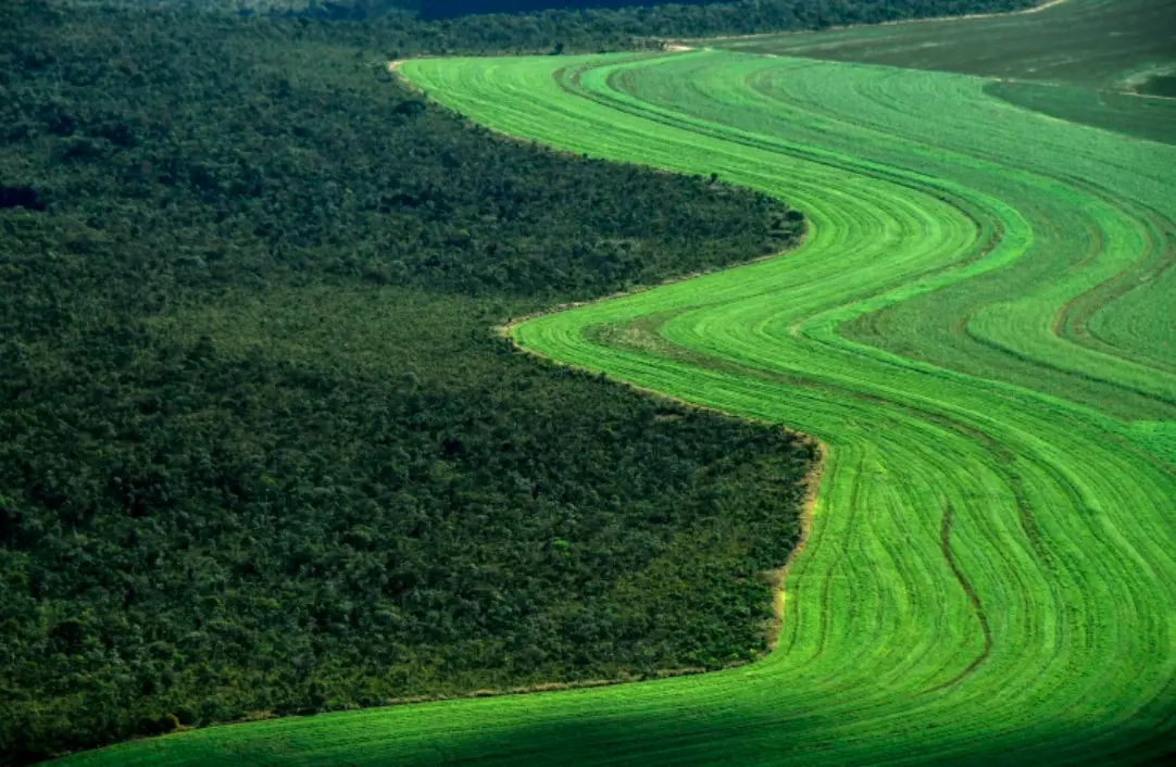 USDA Revises Brazil's Soy Forecast, Affecting Prices. (Photo Internet reproduction)