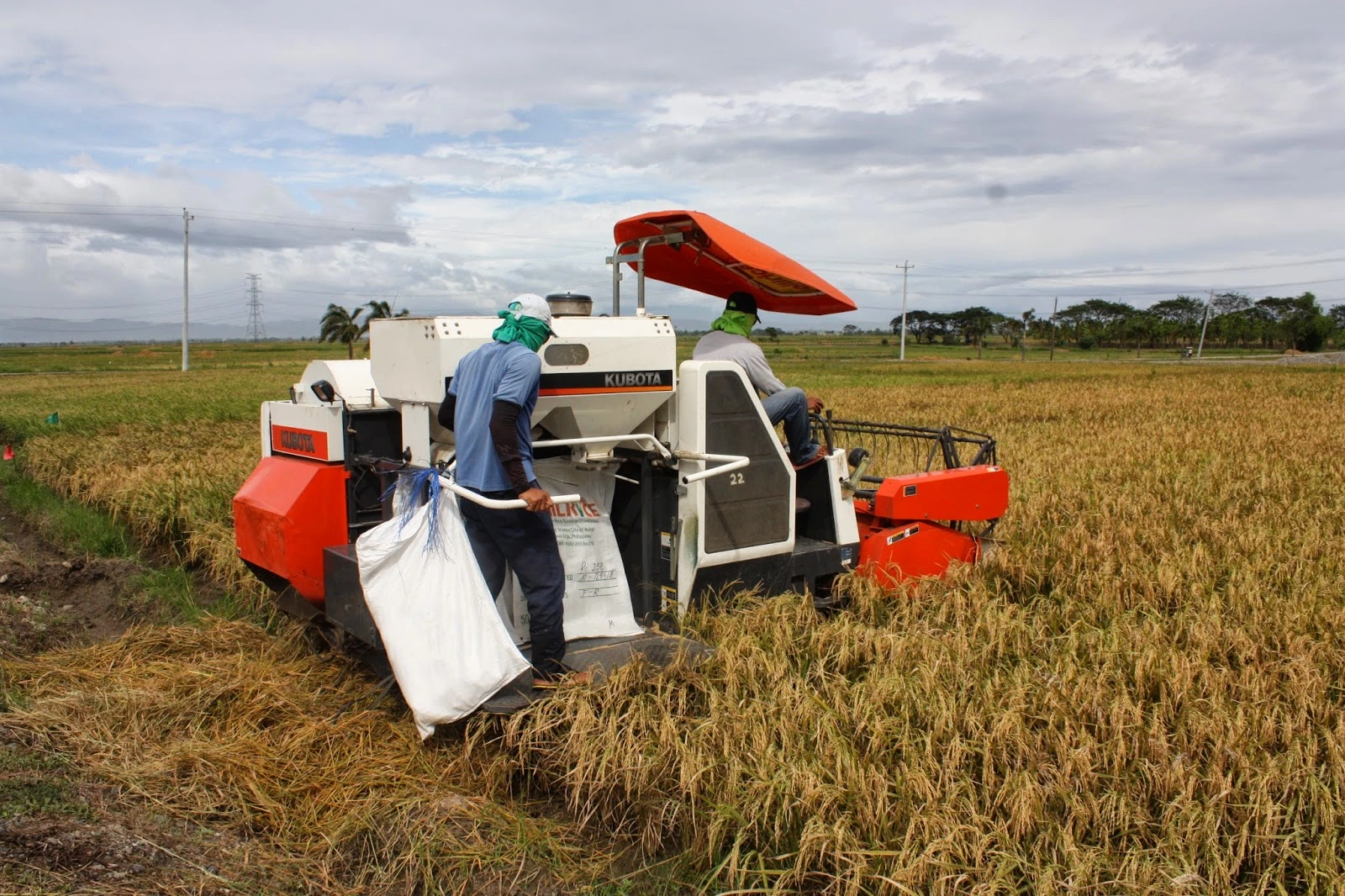 Brazil's Boost for Family Farming Modernization. (Photo Internet reproduction)