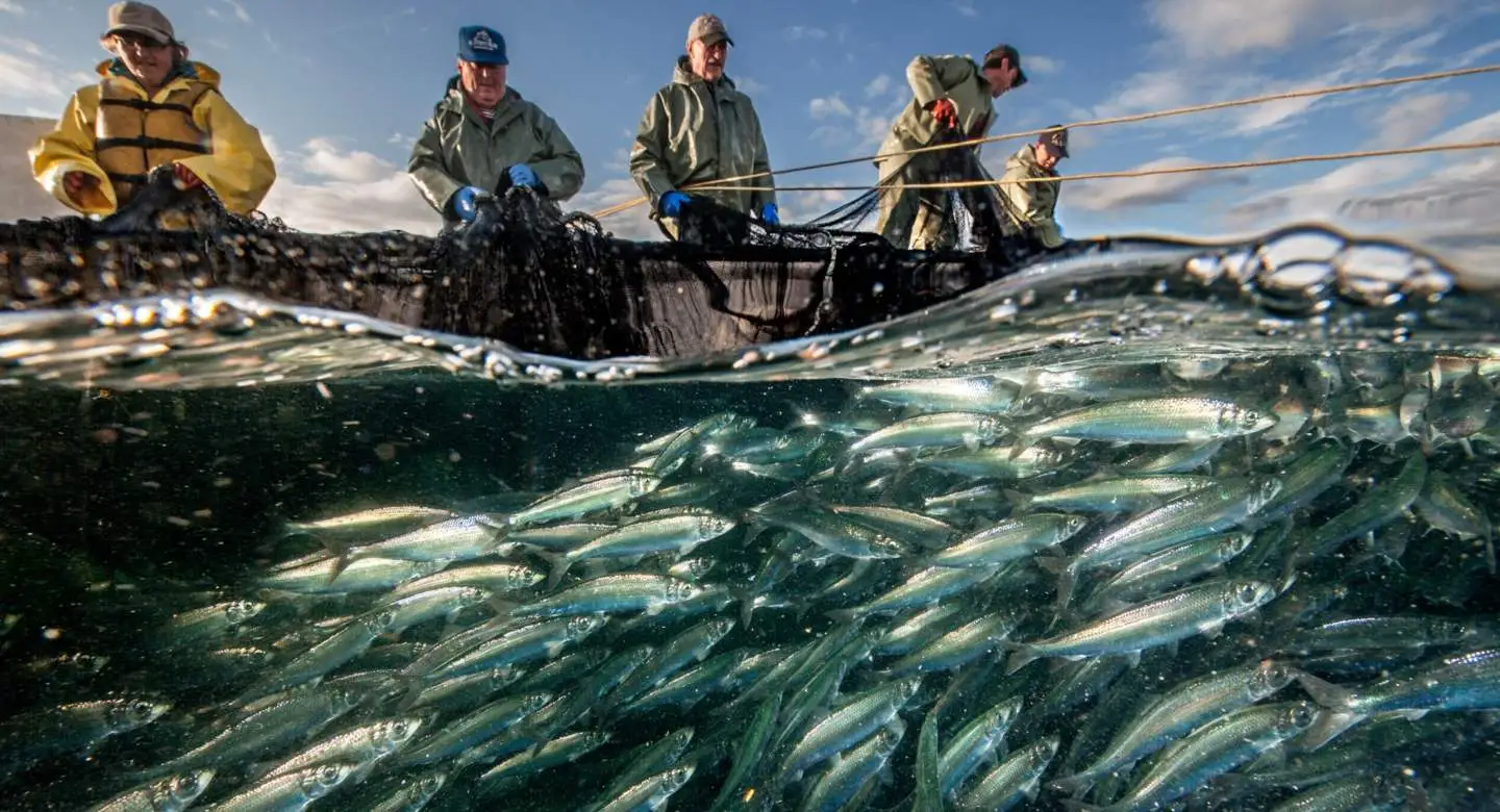 fisheries