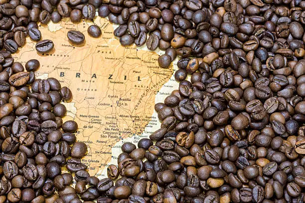 Brazil Coffee Exports Steady in 2023 Despite Value Drop.