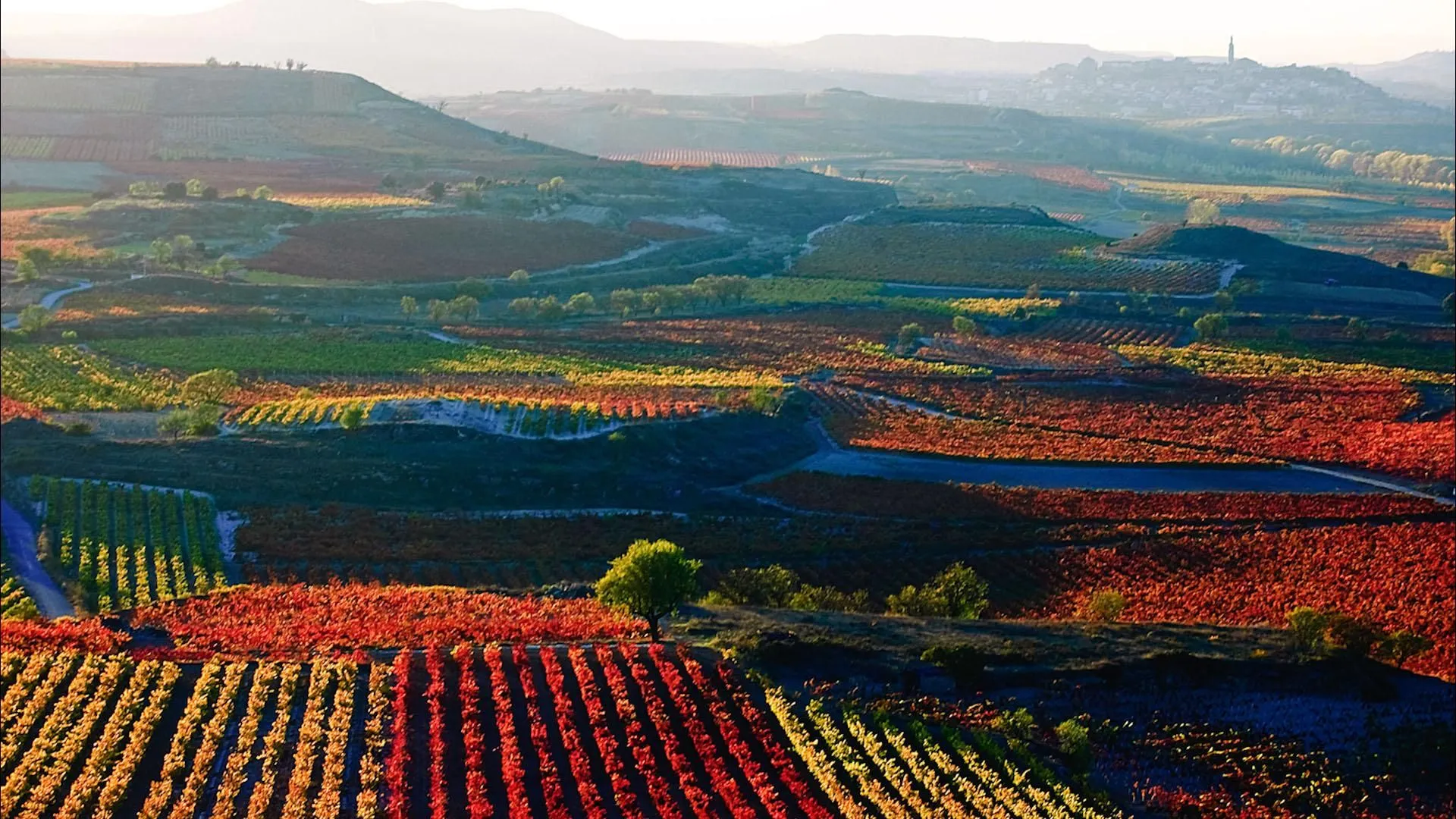 Argentina's La Rioja Issues Local Currency. (Photo Internet reproduction)