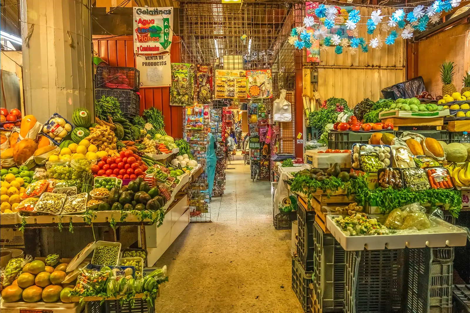 mexico city shop