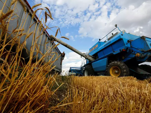Revival of Ukraine's Black Sea Grain Exports. (Photo Internet reproduction)