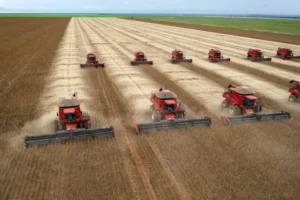 Agricultural Drive Powers Construction Machinery Sector in Brazil