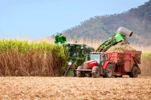Revamping Brazilian Sugarcane Farms for Enhanced Value