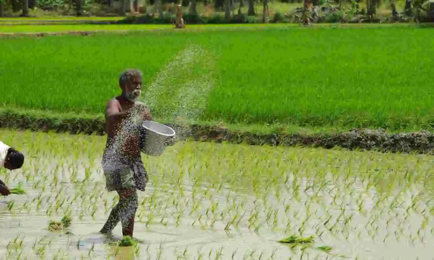 Decline in India's Key Crop Yields