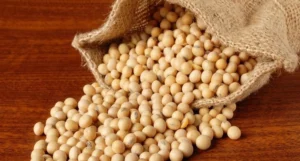 Brazil's Soy Exports Set New Records in Volume and Revenue