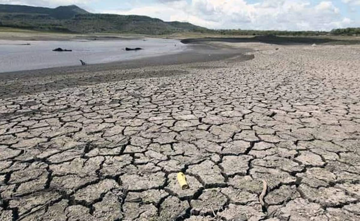 El Niño's Lingering Impact in Brazil