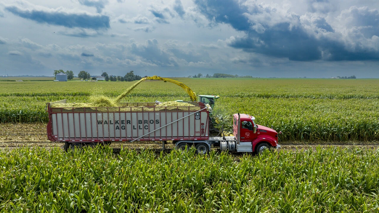Brazil's 2024 Farming Shift: From Corn to Diverse Crops