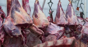 Brazil Secures Key Meat Export Deal with Egypt