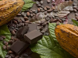 Cocoa Traceability: A Challenge for the Global Market