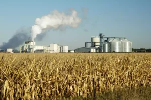 Record Ethanol Sales in January: A Boost for Brazil's Biofuel Market