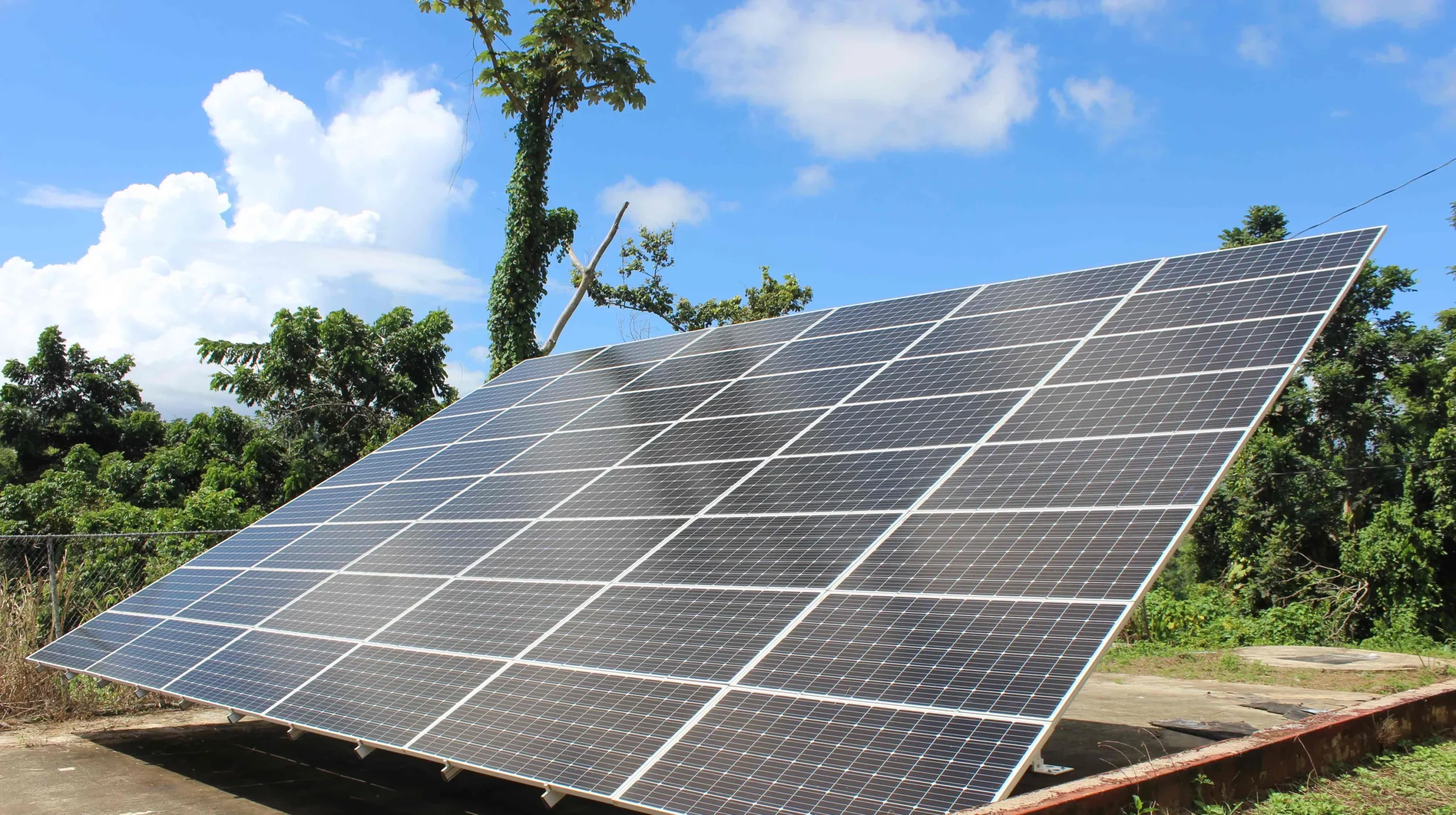 Brazil Leads Latin America in Energy Transition Investment. (Photo Internet reproduction)