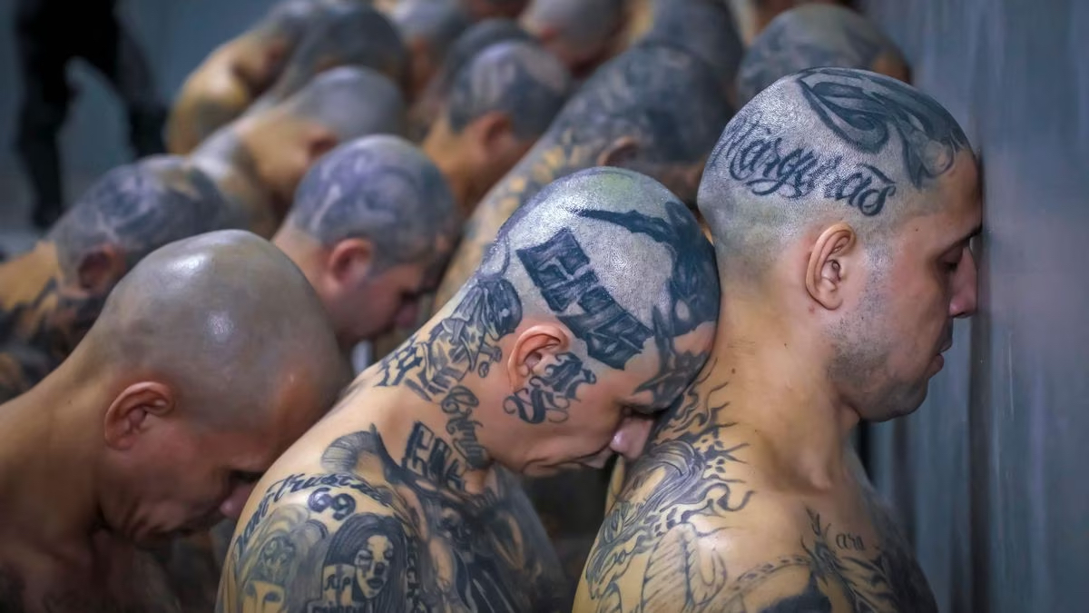 Ecuador's Iron Fist Approach to Gang Violence Wins Approval. (Photo Internet reproduction)