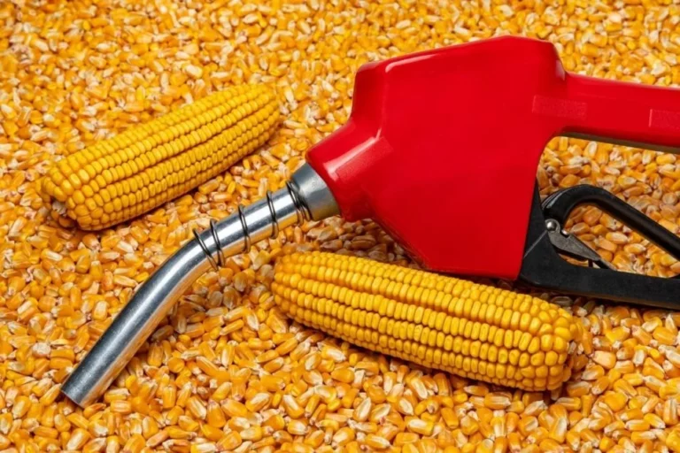 Steady Corn Prices Amid Ethanol Boost and Supply Trends