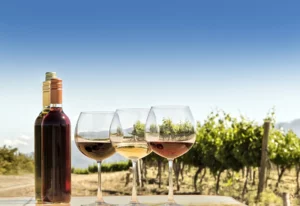 The Value of Argentine Wine Tourism for Brazilians