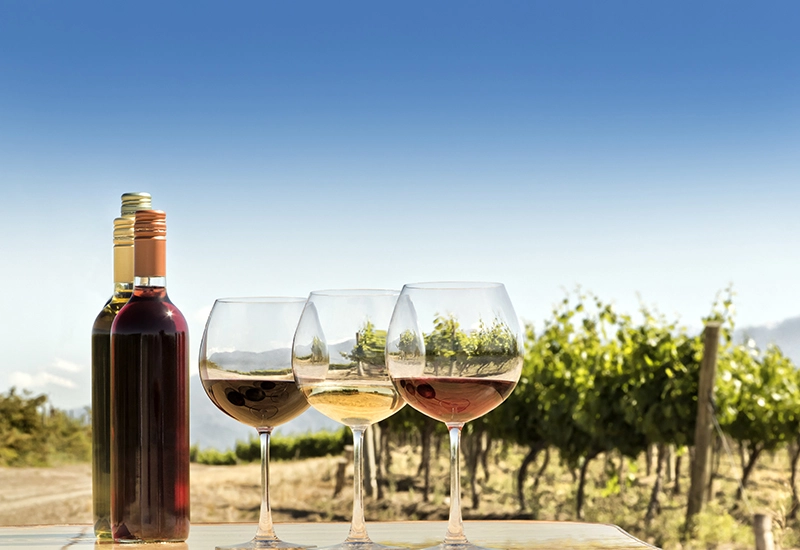 The Value of Argentine Wine Tourism for Brazilians