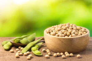 Brazil to Dominate 60% of Global Soybean Exports in Next Decade