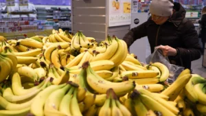 Russia and Ecuador Resolve Banana Export Ban