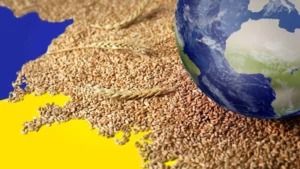 Ukraine's Grain Exports Rise in February