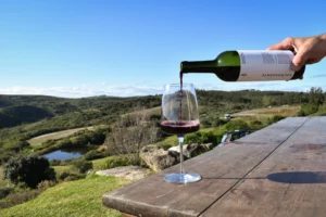 A Three-Day Wine Tour in Uruguay