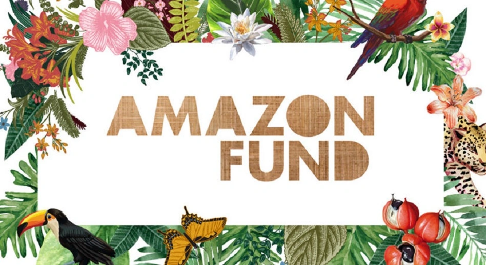Brazil's Amazon Fund Sets Donation Record in 2023. (Photo Internet reproduction)