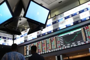 Ibovespa Dips Amid Ambev's Earnings Miss and US Rate Speculations