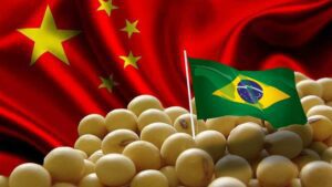 Adjusting to a Shift: China and Brazil's Soybean Dynamics