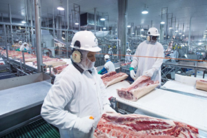 Brazil's January Meat Export Trends
