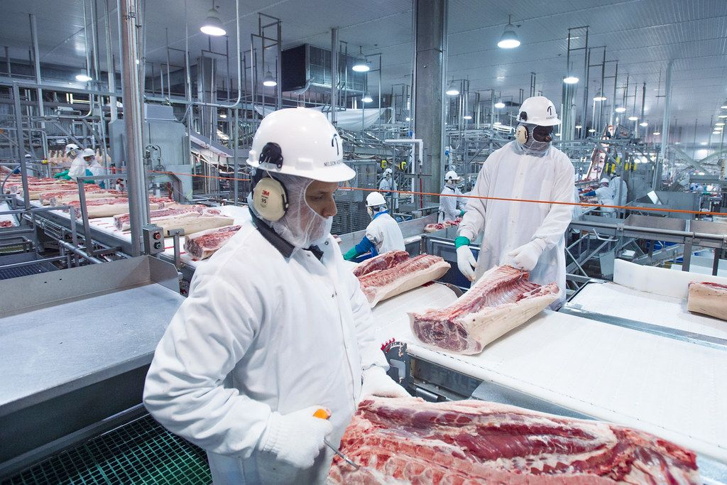 Brazil's January Meat Export Trends