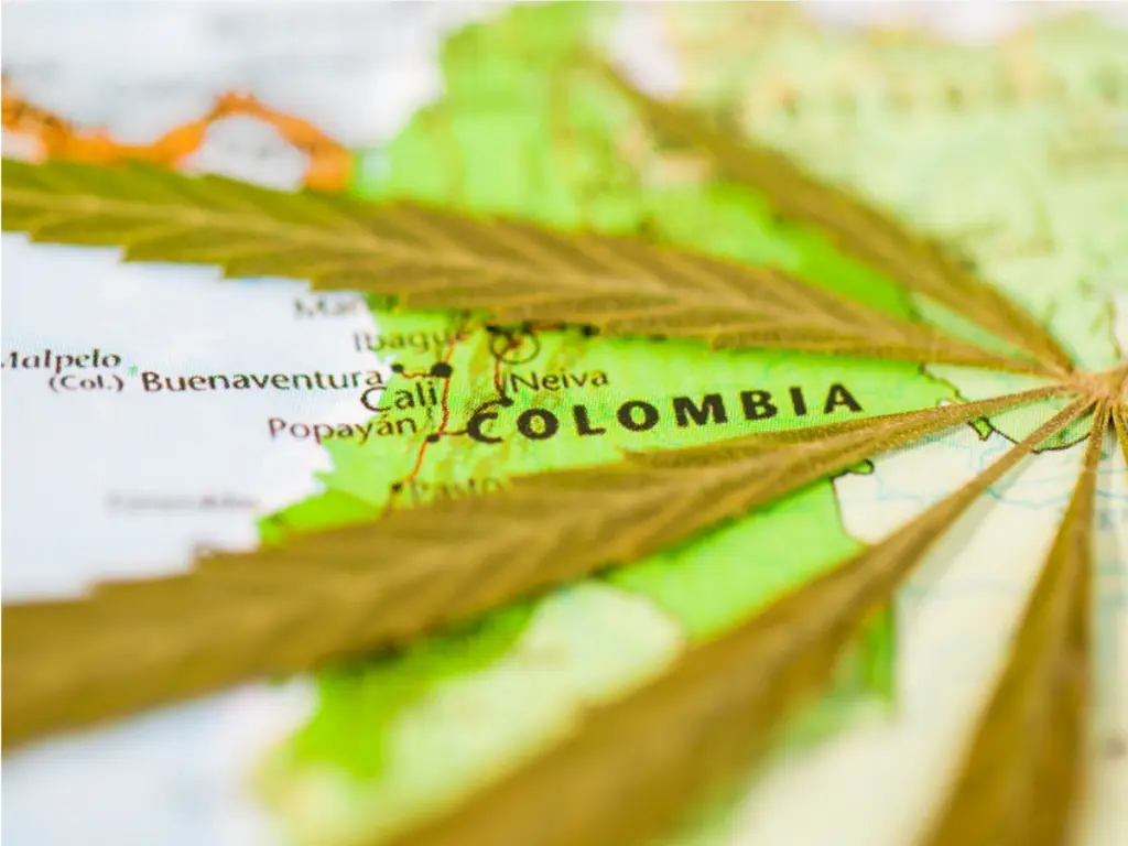 Colombia Eases Cannabis Rules. (Photo Internet reproduction)