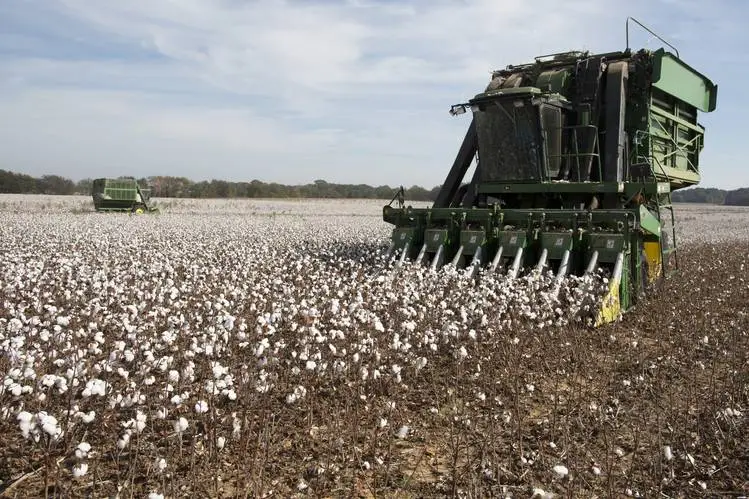 The Impact of Commodities on Brazil's Economic Future. (Photo Internet reproduction)