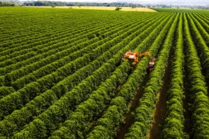Brazil's Surge in Biopesticide Use Marks a Sustainable Agriculture Shift