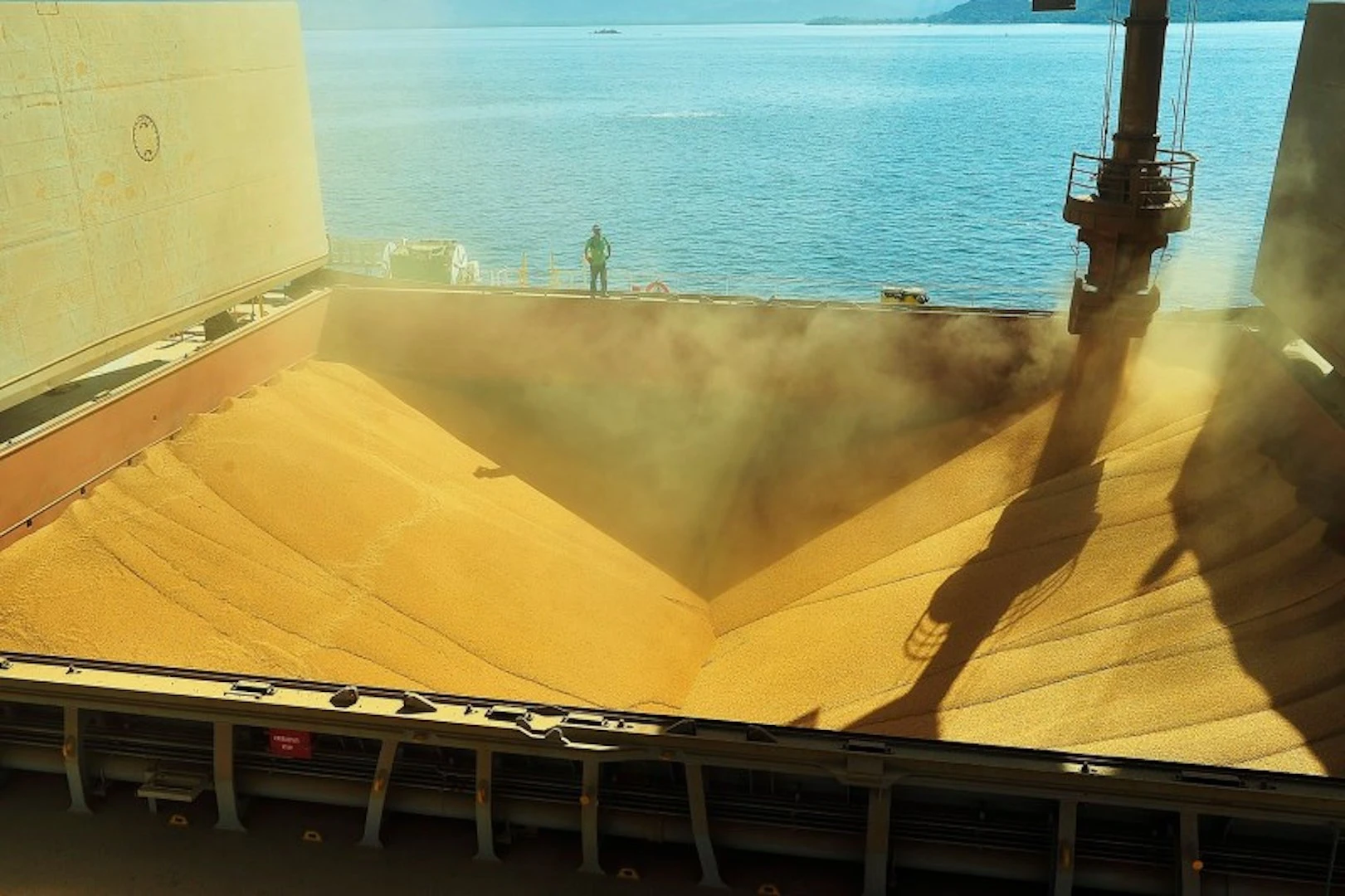 Boost in Global Grain Output Predicted for 2023/24. (Photo internet reproduction)
