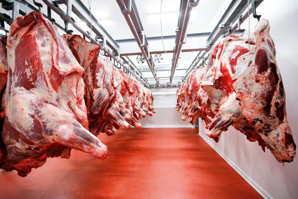 Surge in Brazilian Beef Slaughter Marks Industry Milestone. (Photo Internet reproduction)