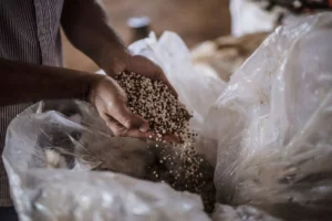 Brazil Hits Fertilizer Import Milestone