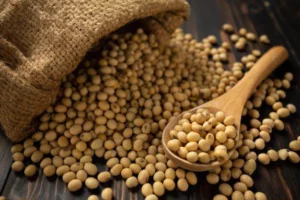 China Doubles Down on Brazilian Soybeans in Early 2024